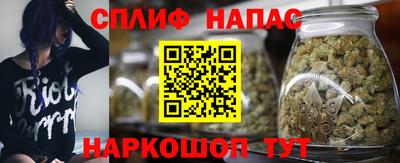 трава Обнинск