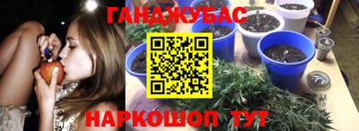 трава Обнинск